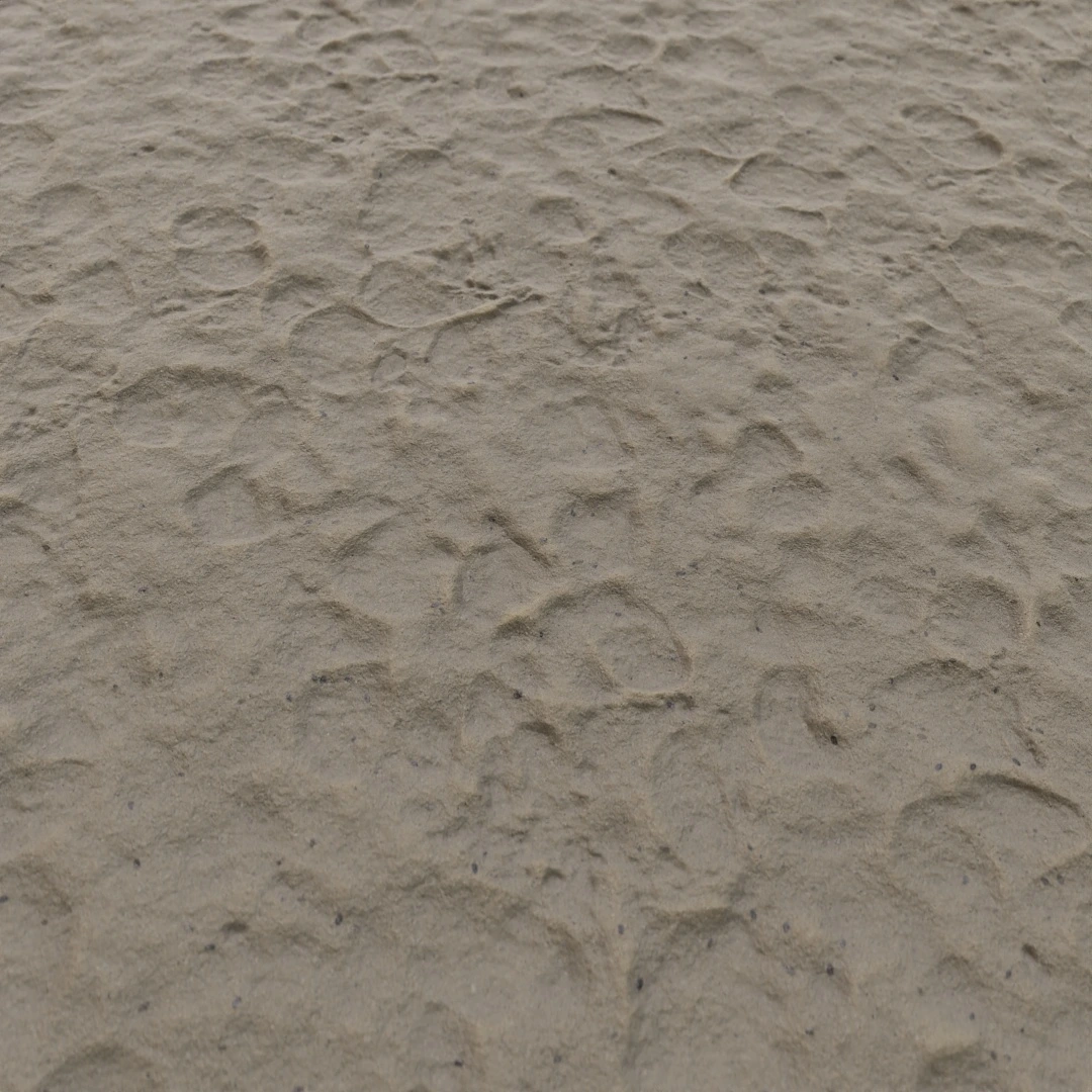 Smooth Coastal Footprint Texture