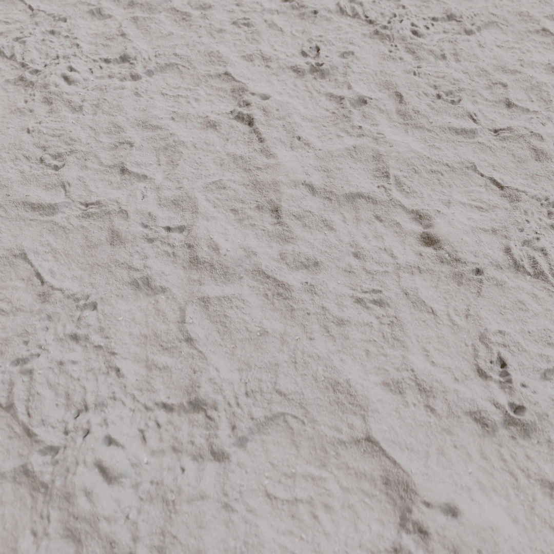 Soft Rippled Shoreline Sand Texture