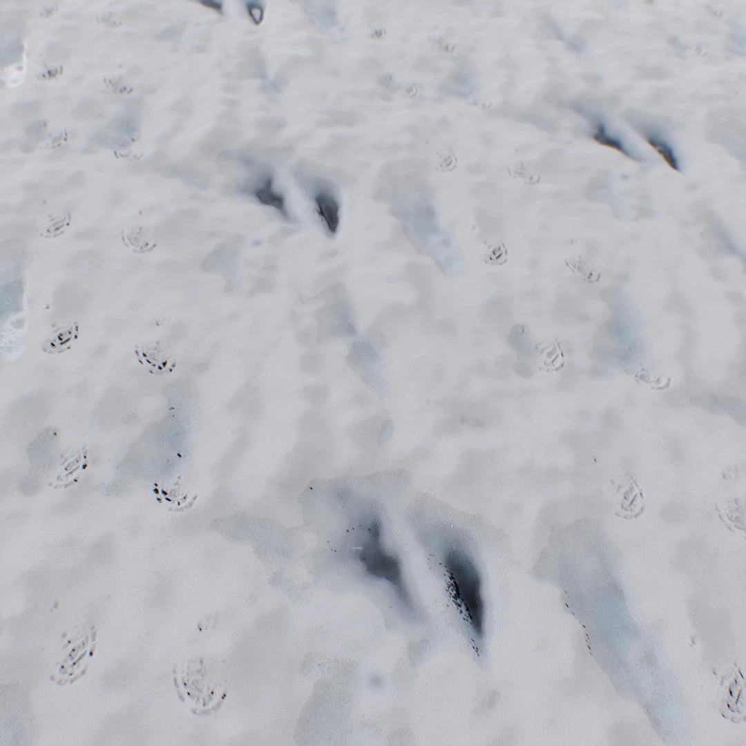 Trampled Fresh Snow Texture