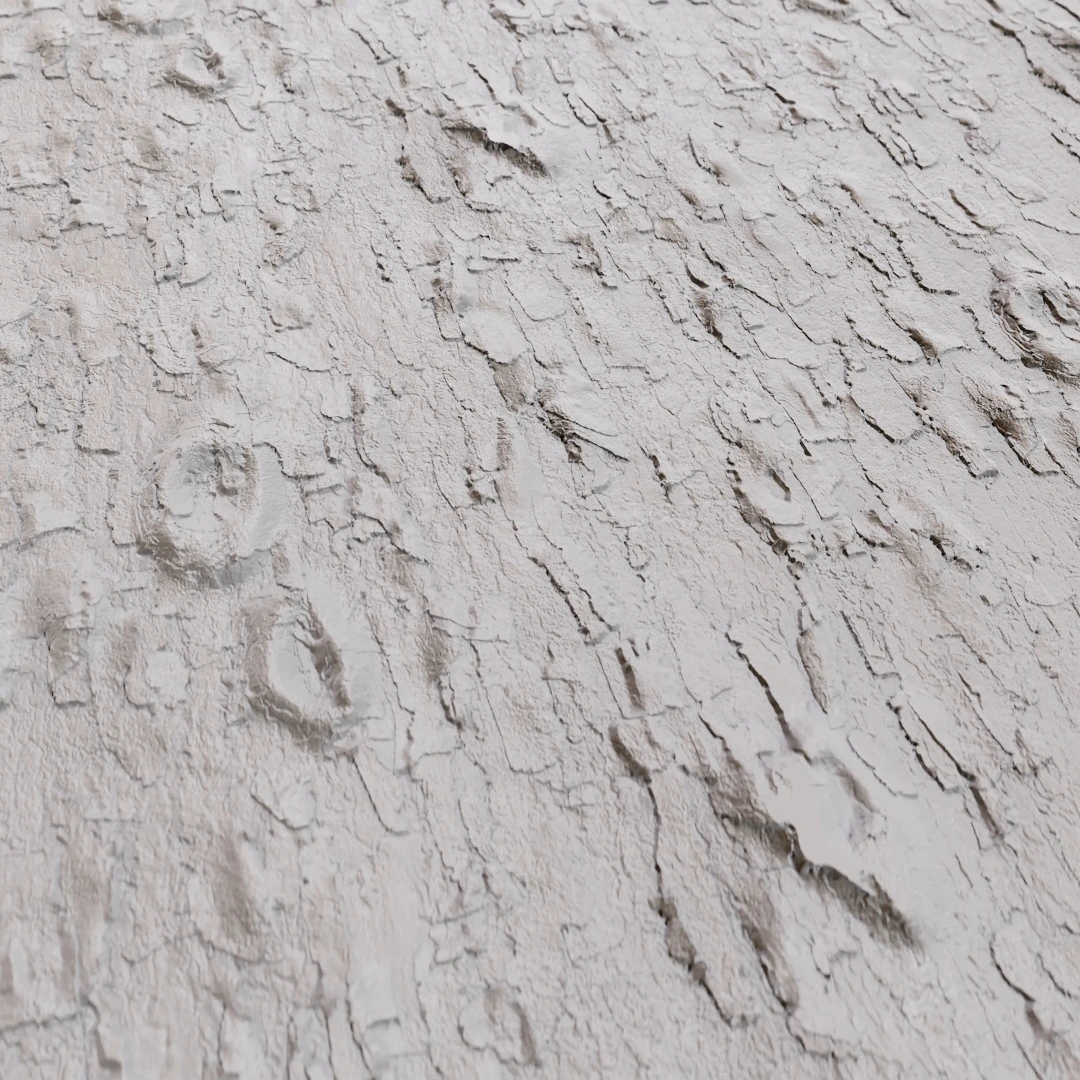 Tree Bark Texture