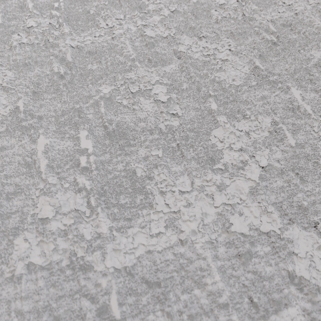 Tree Bark Texture