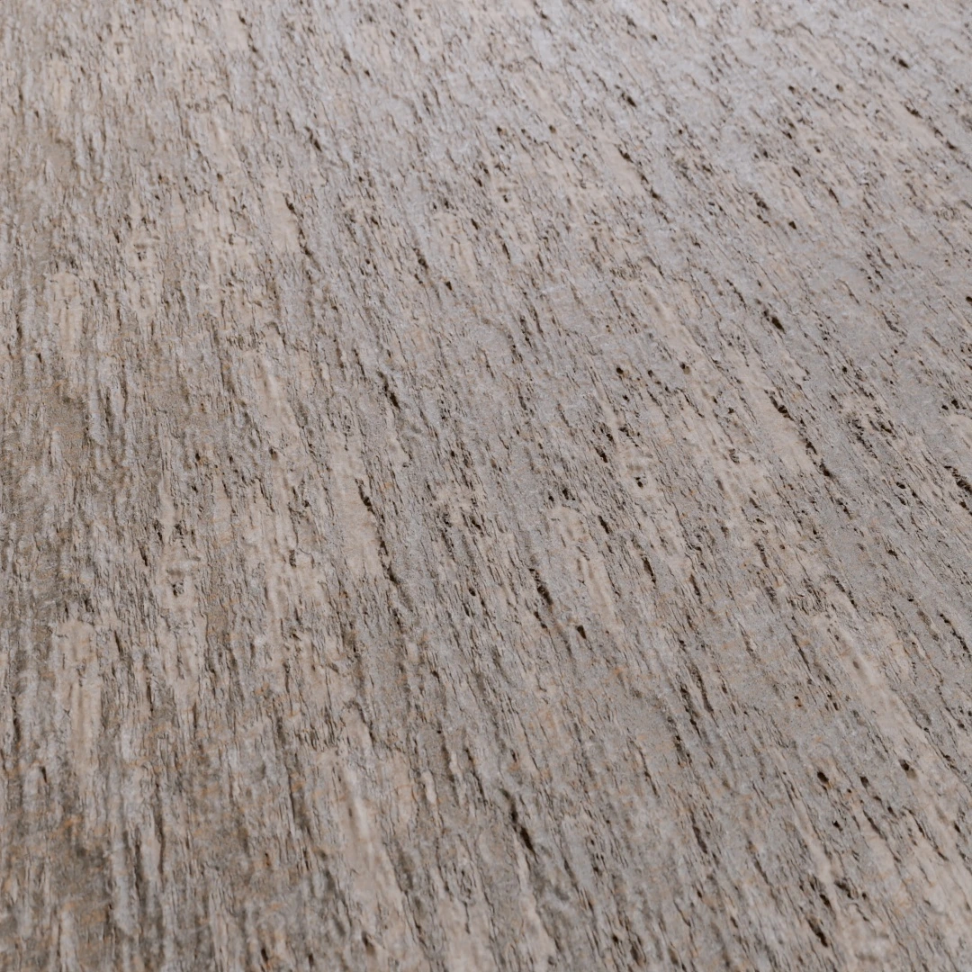 Tree Bark Texture