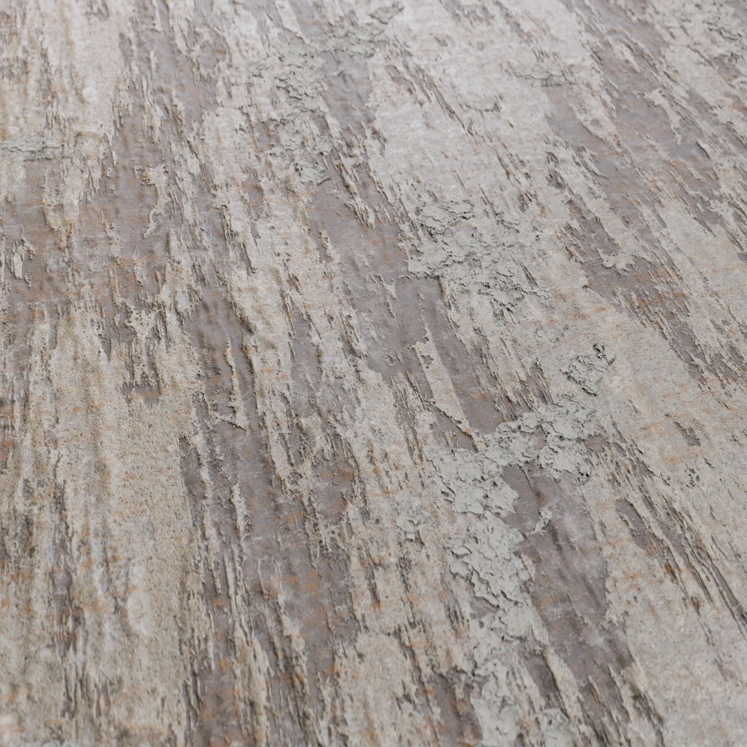 Tree Bark Texture