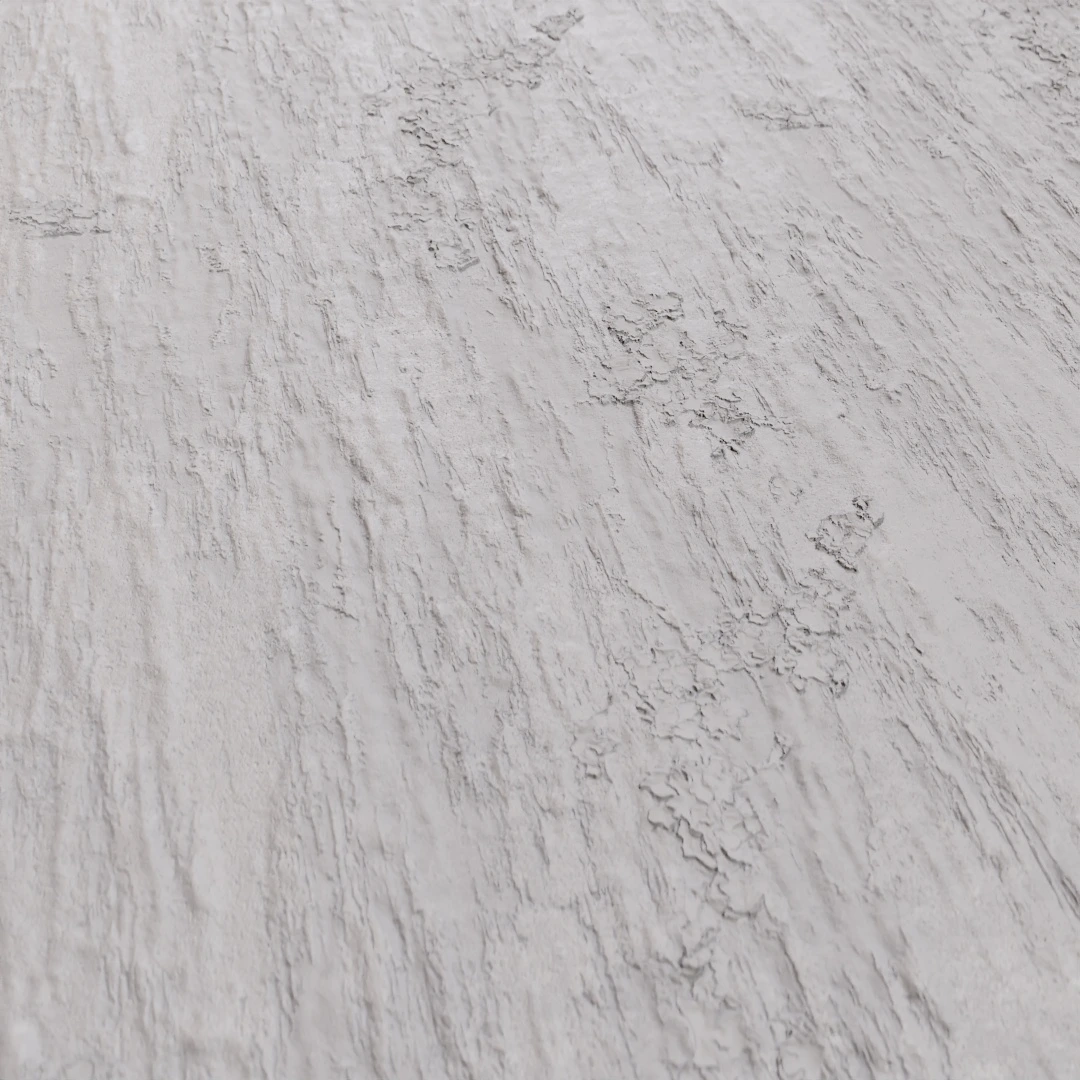 Tree Bark Texture