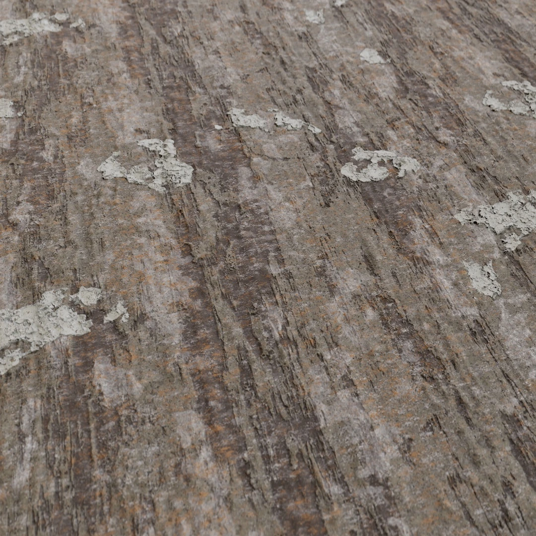 Tree Bark Texture
