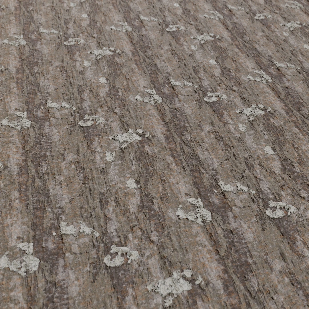 Tree Bark Texture