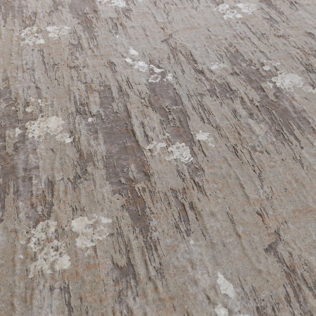 Tree Bark Texture