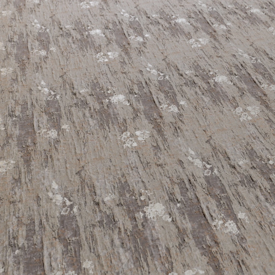 Tree Bark Texture