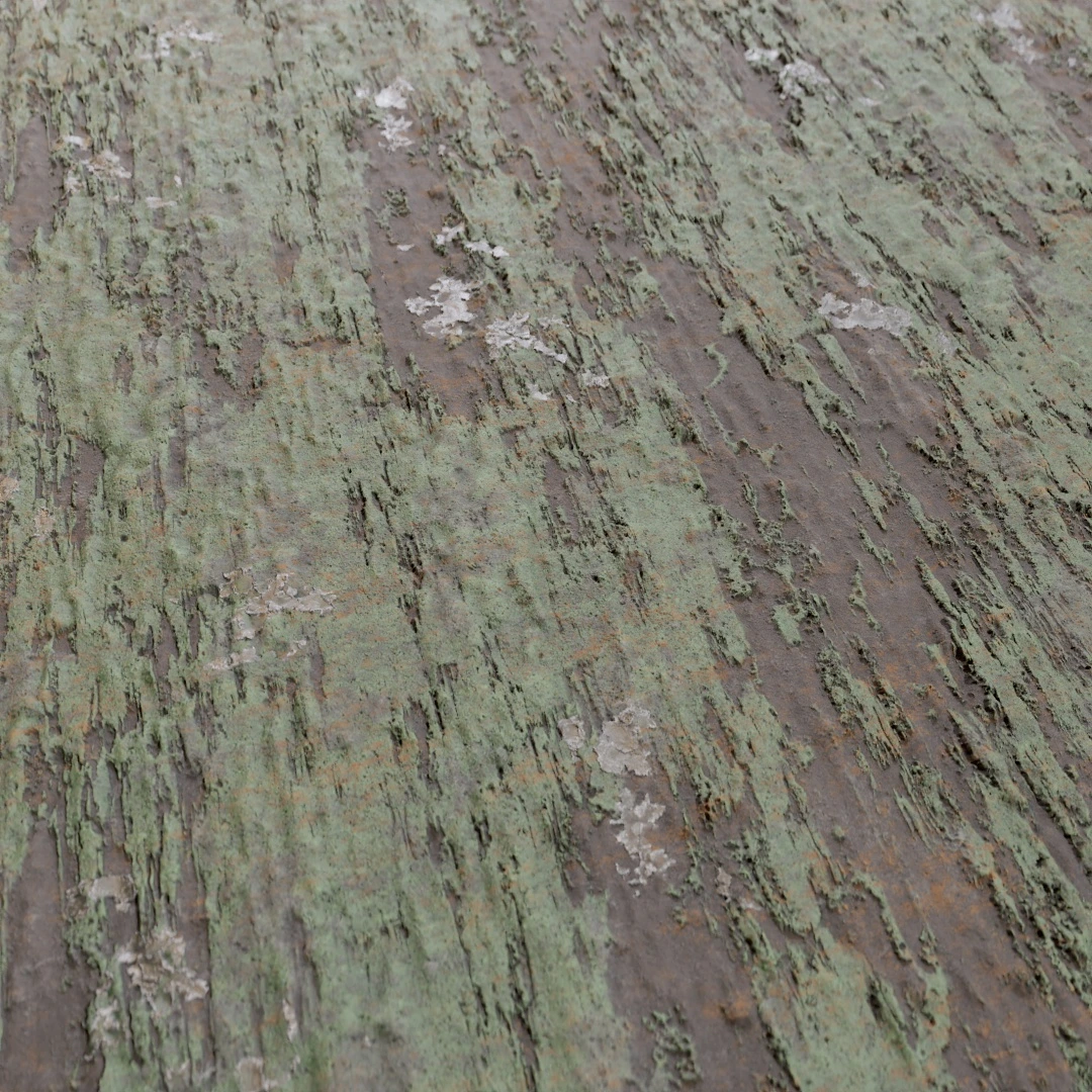 Tree Bark Texture
