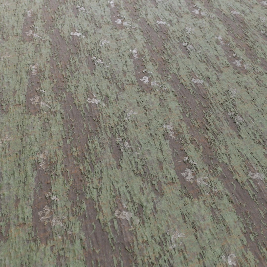 Tree Bark Texture