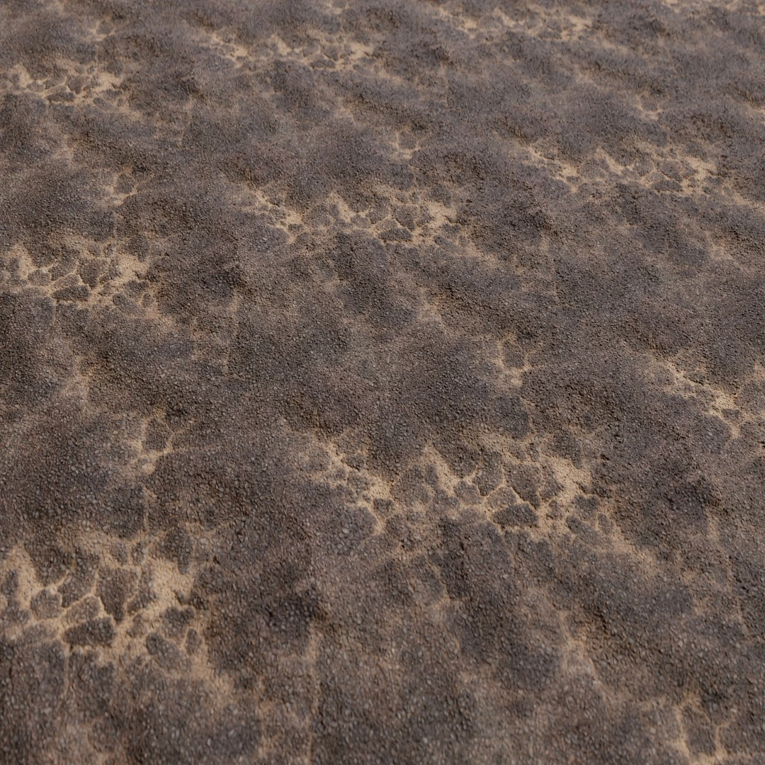 Urban Aged Asphalt Texture