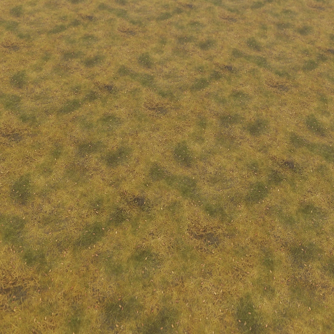 Verdant Mossy Ground Texture