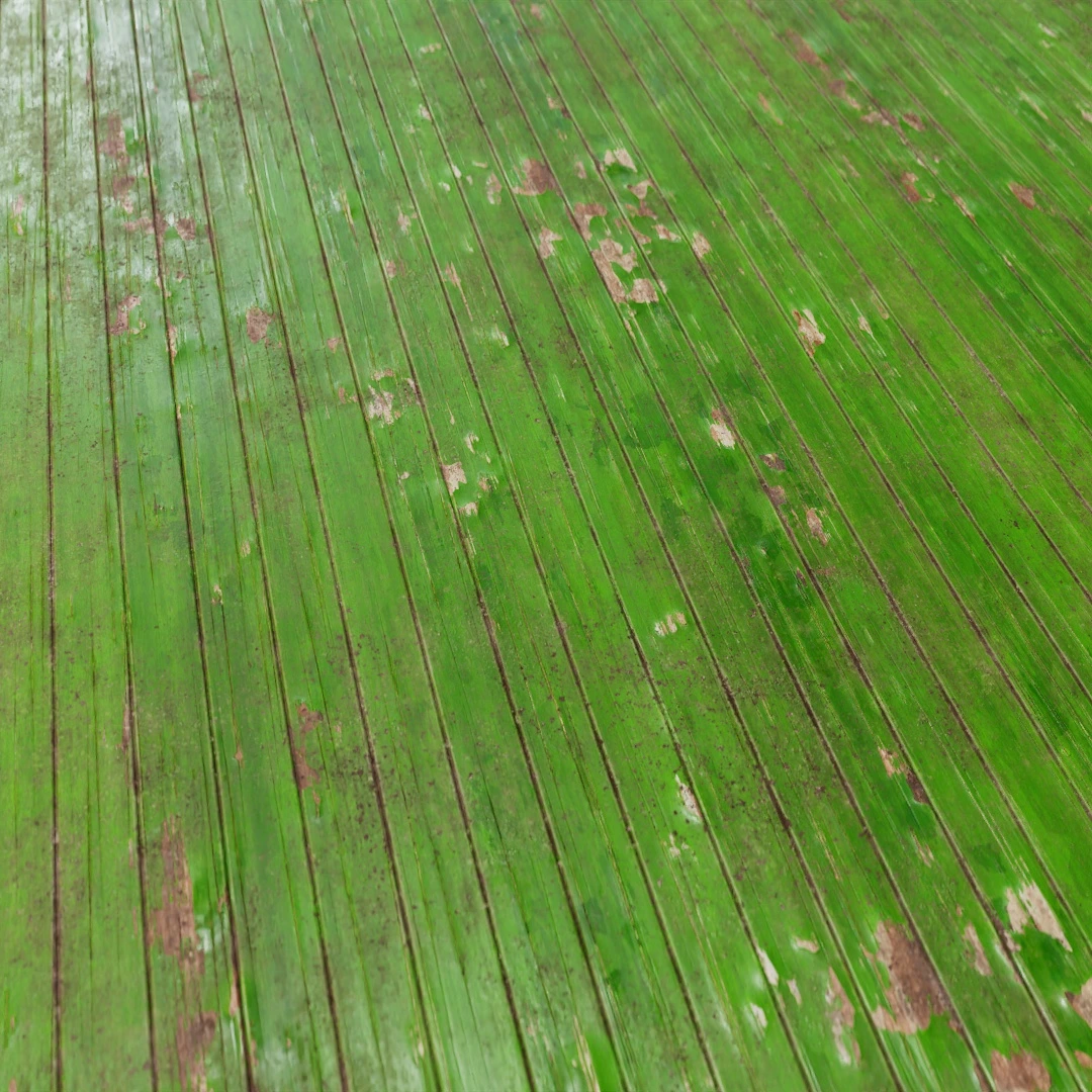 Wooden Planks Texture