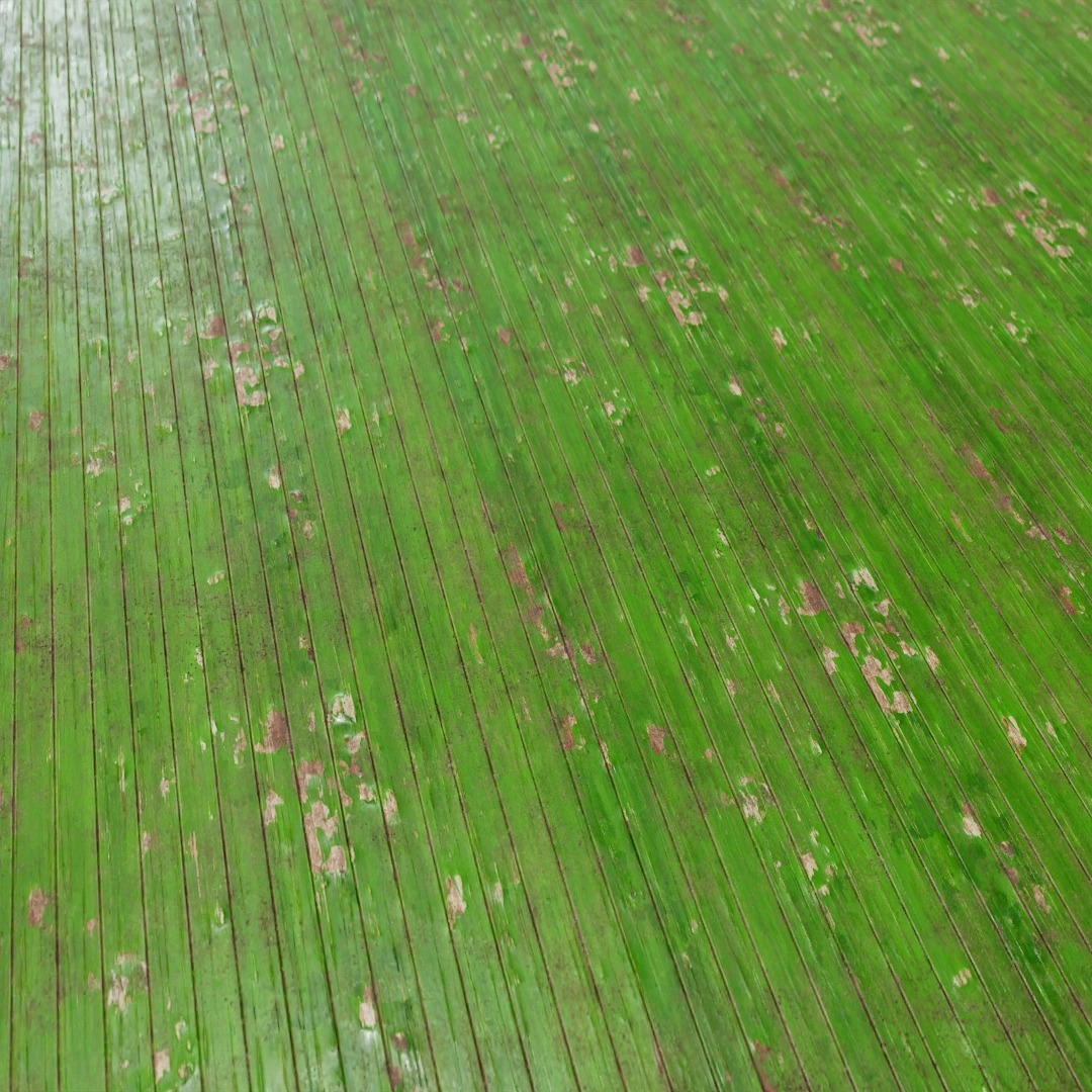 Wooden Planks Texture