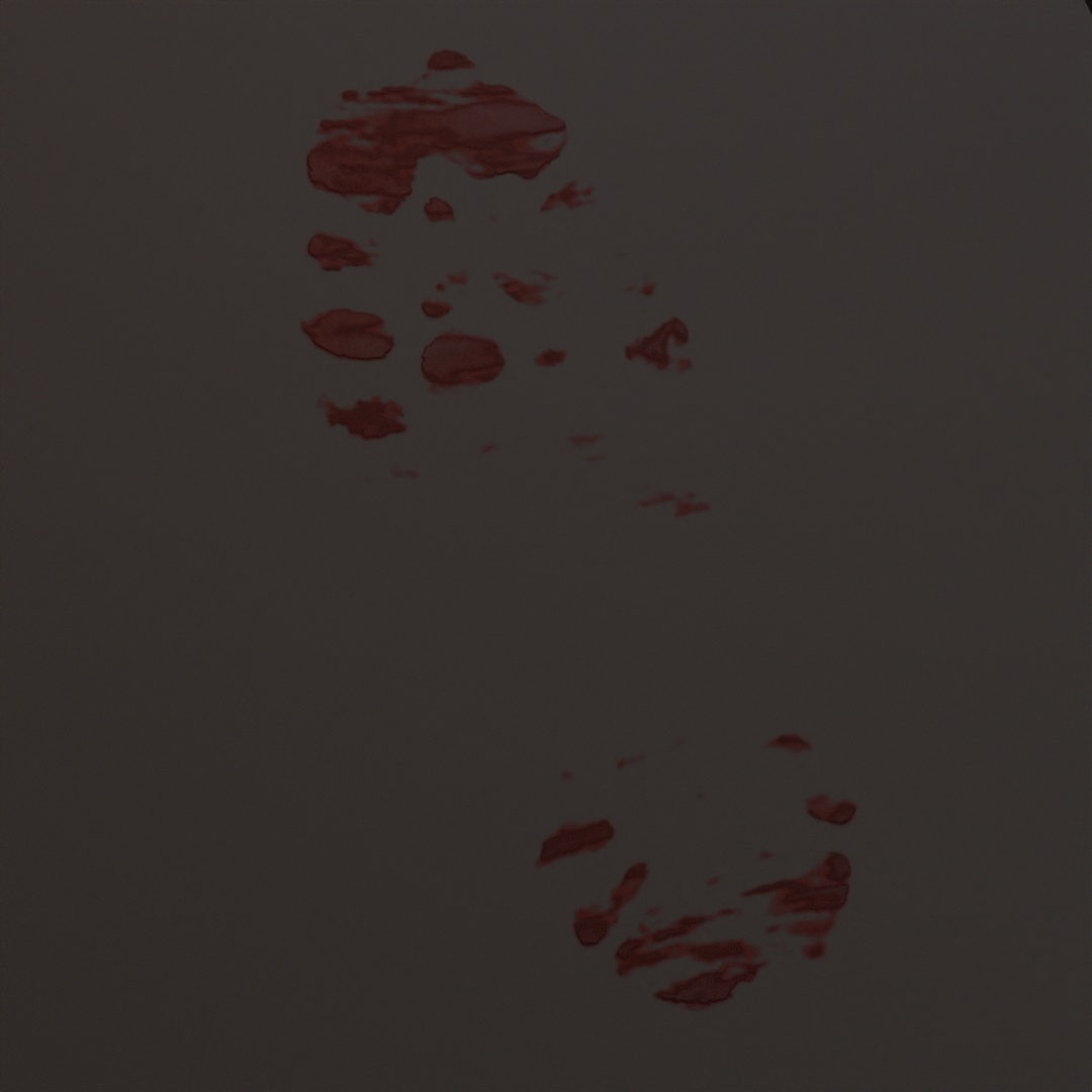 Dry Blood Shoe Smear Decal 244