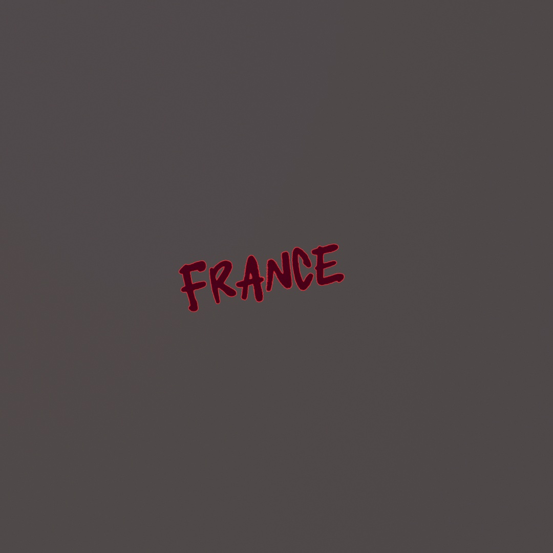France Graffiti Decal 498