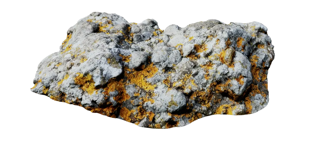 Ground Mossy Rock 3D Model