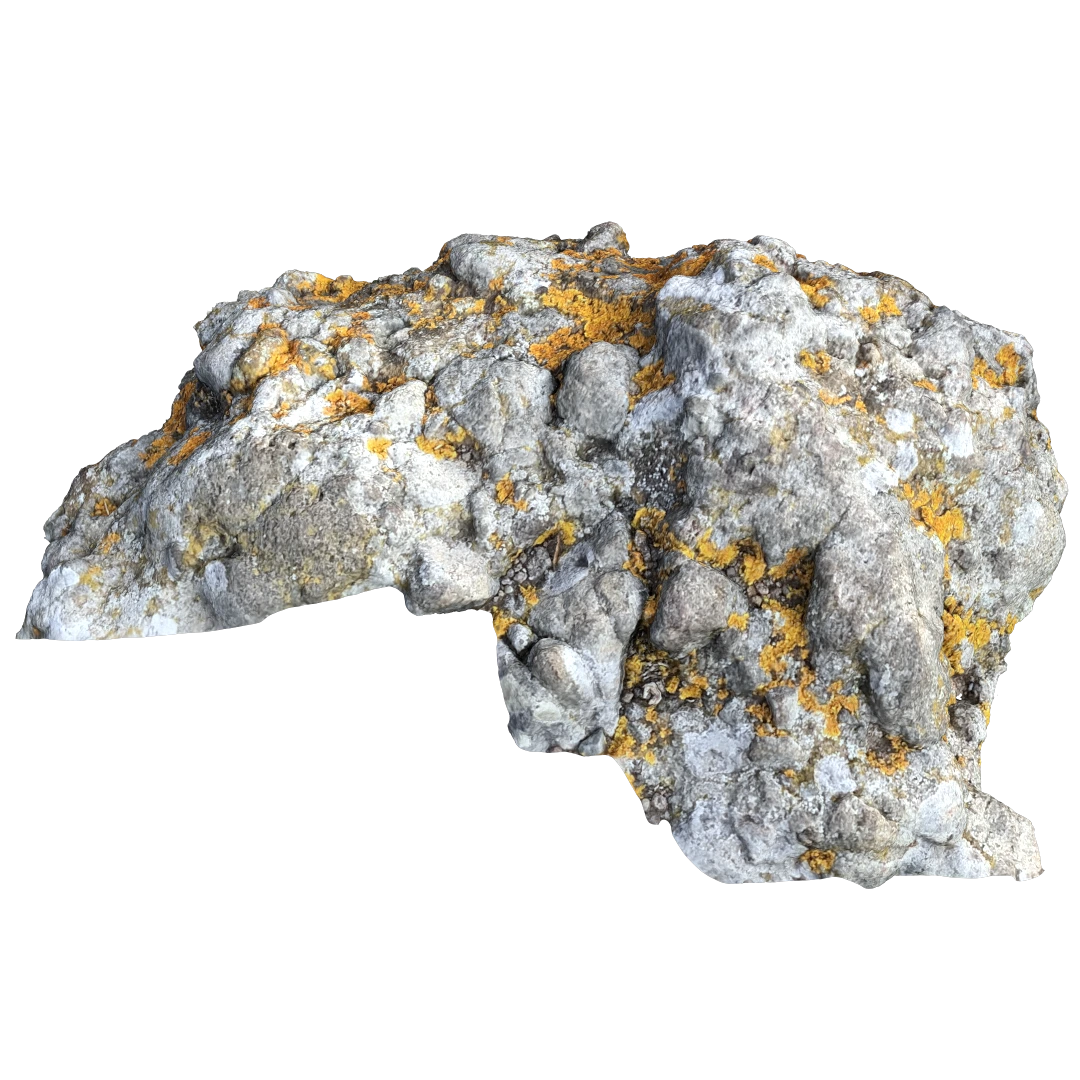 Ground Mossy Rock 3D Model112