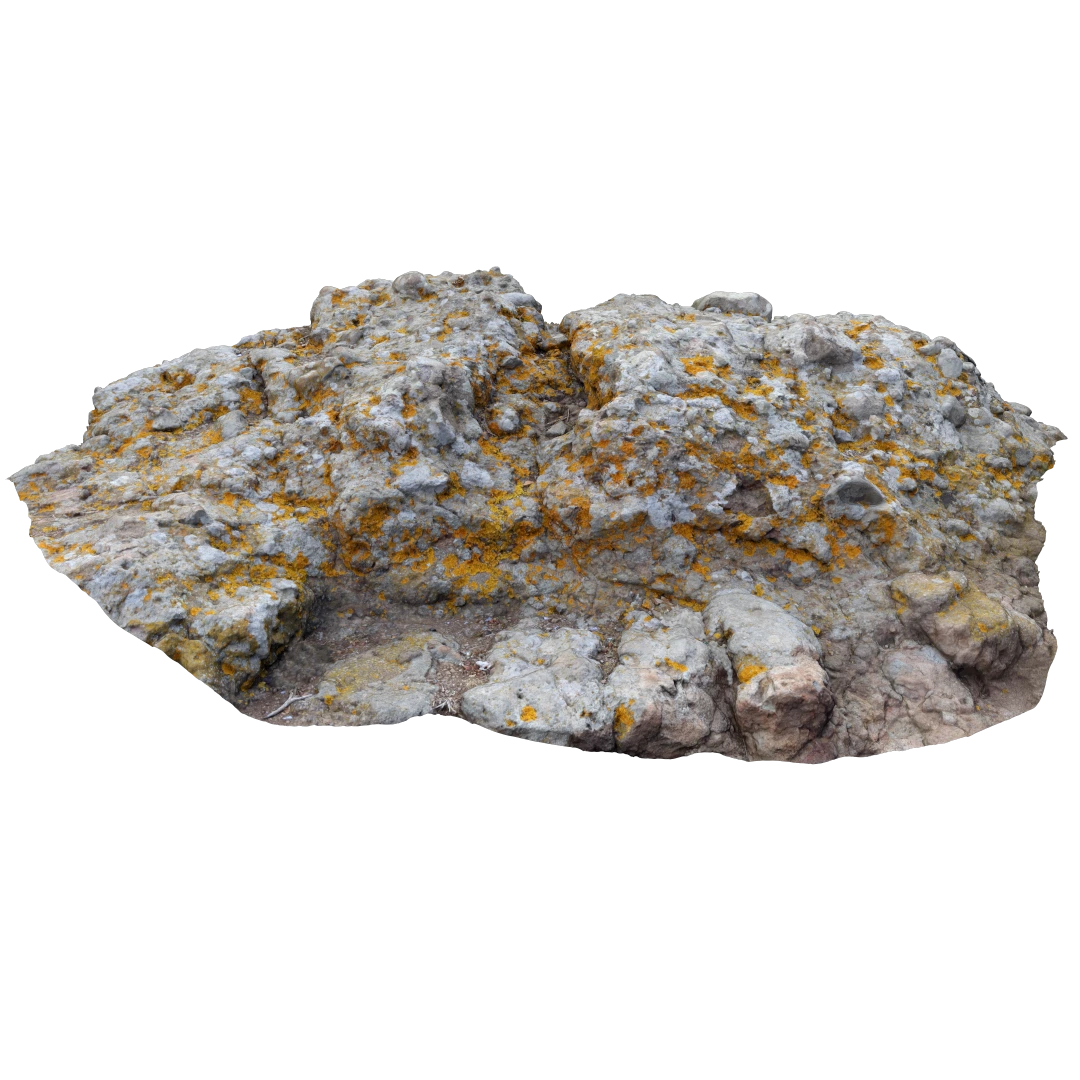 Ground Mossy Rock 3D Model115