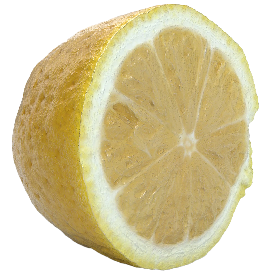 Half Lemon 3D Model141