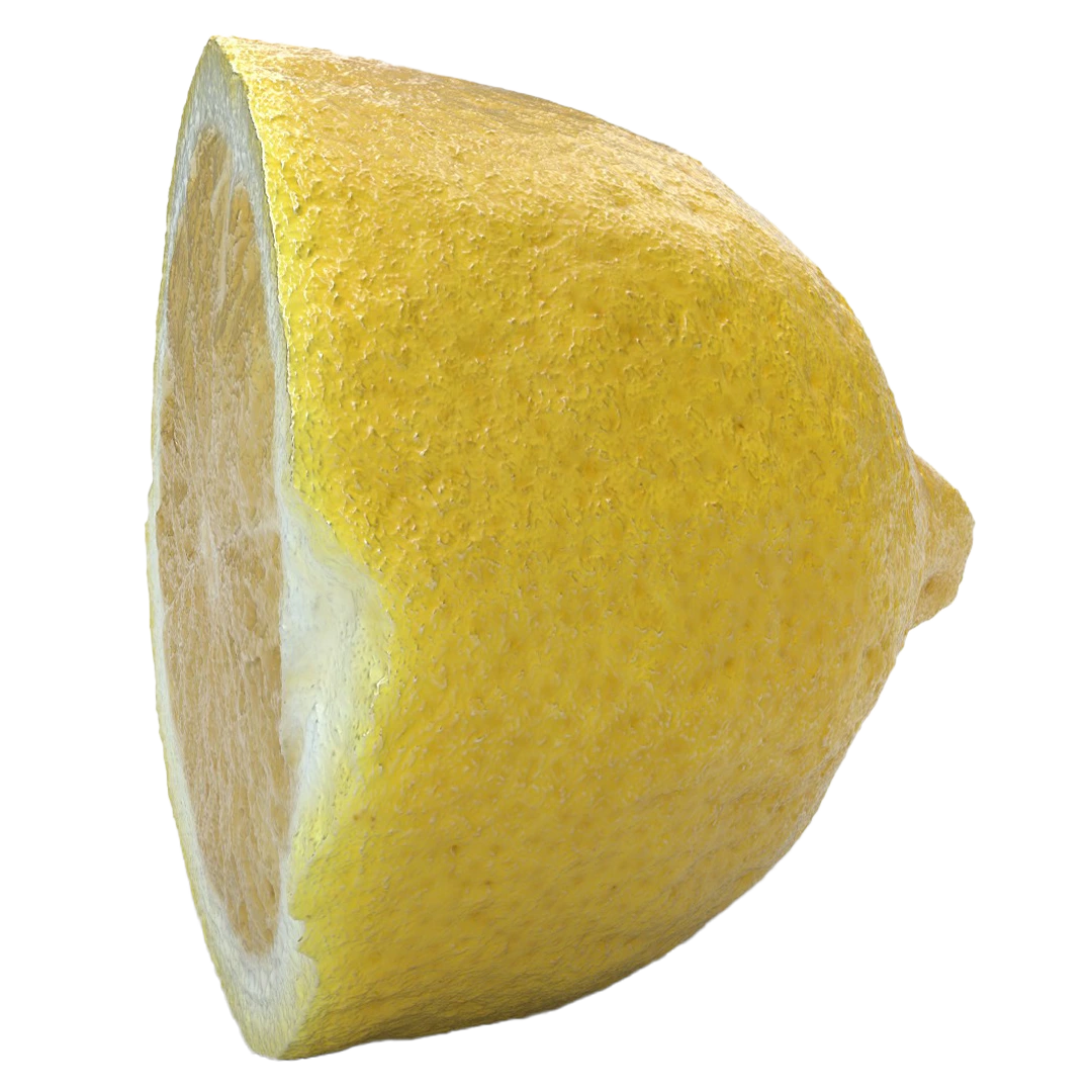 Half Lemon 3D Model141