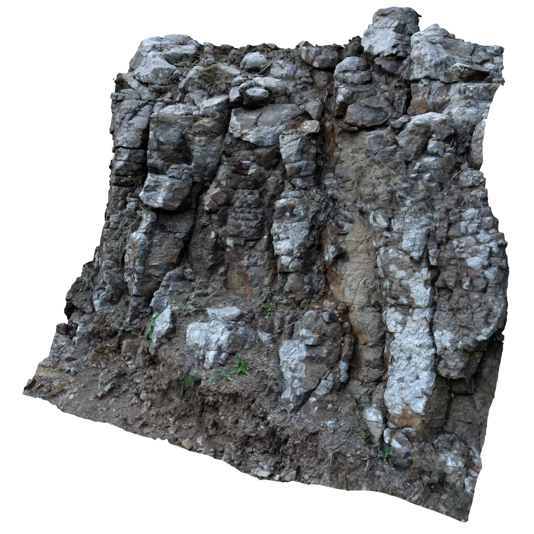 Natural Rock Wall 3D Model33