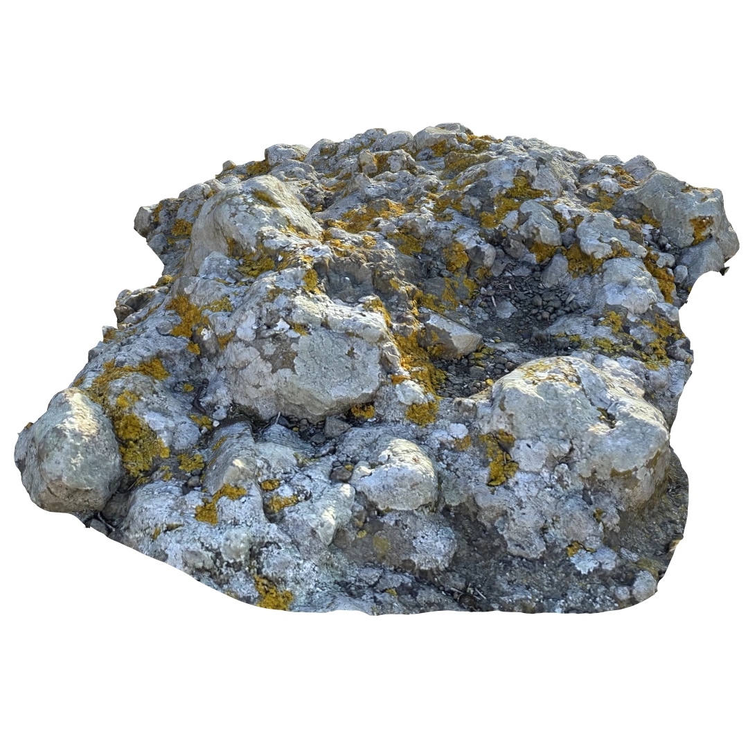Ground Mossy Rock 3D Model36