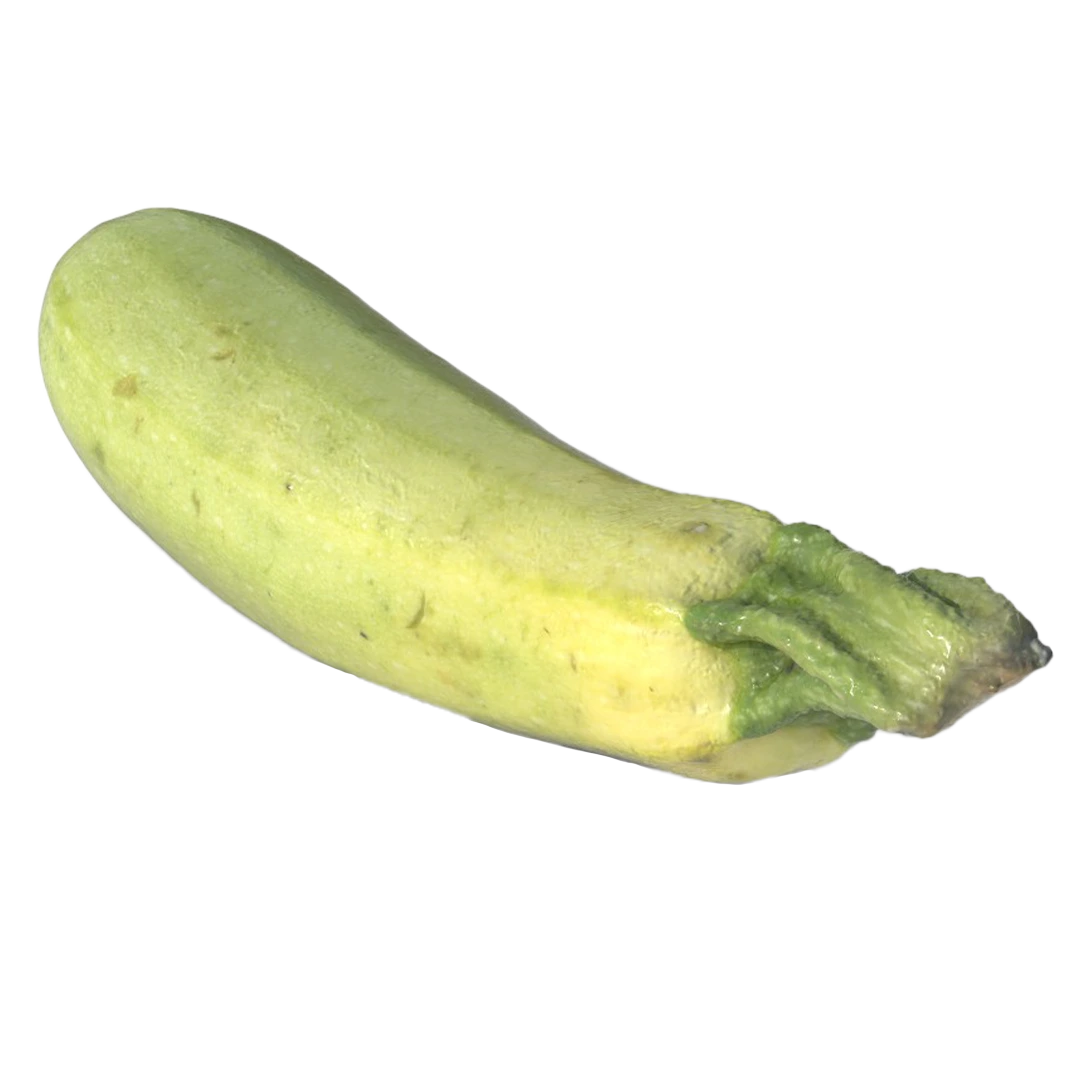 Zucchini 3D Model53