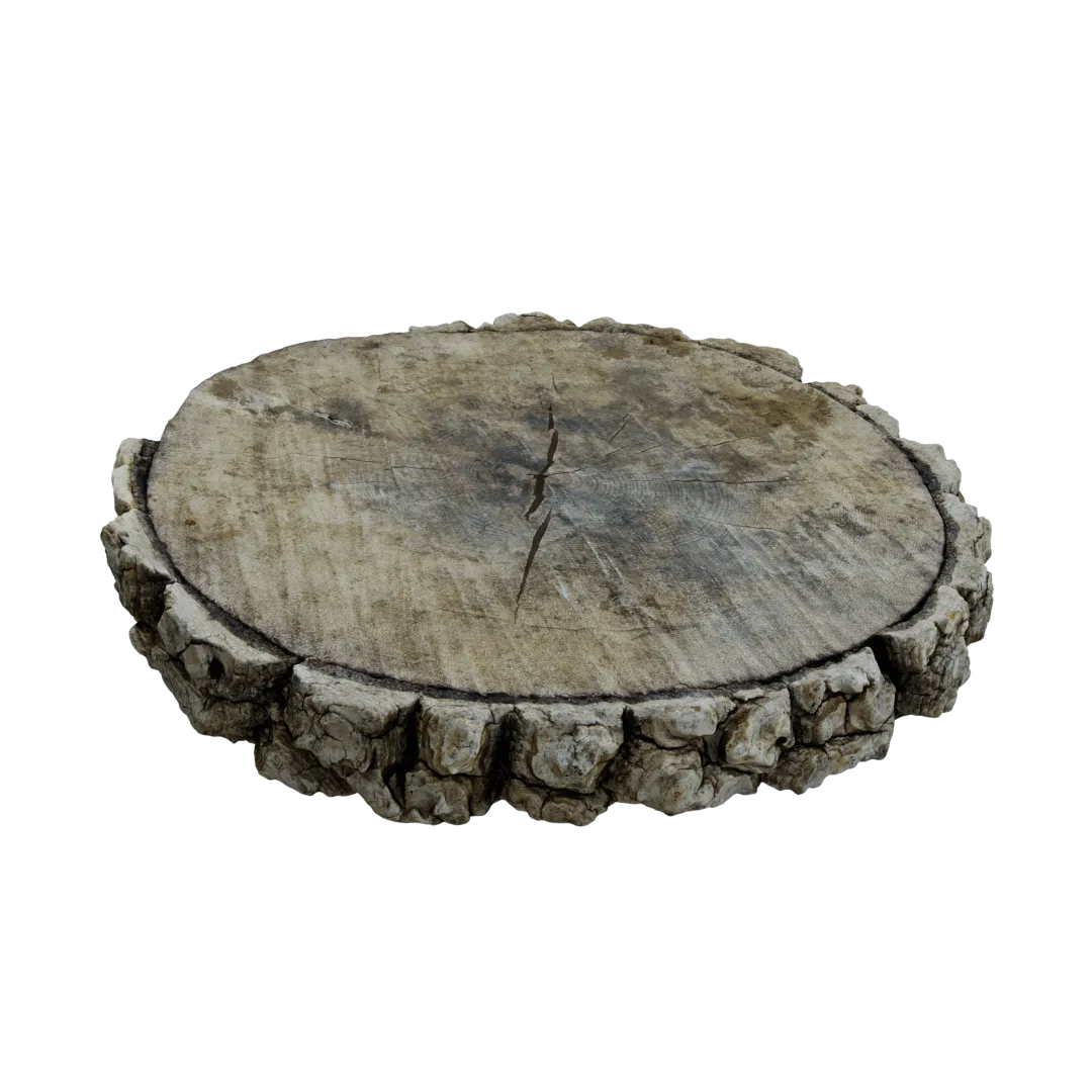 Wooden Plate Rough 3D Model
