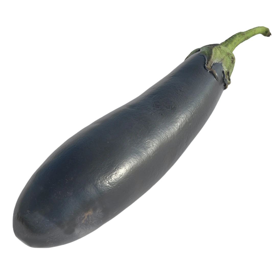 Eggplant 3D Model69