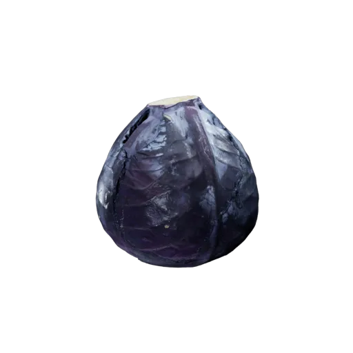 Purple Cabbage 3D Model